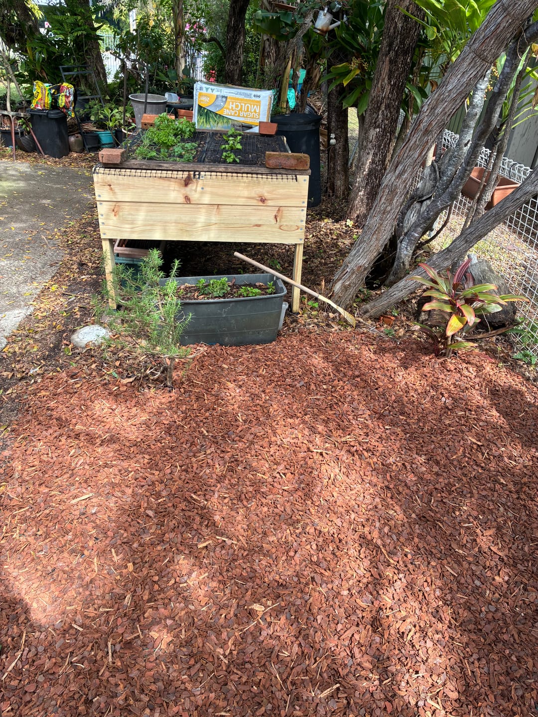 Customer photo of their Wide Raised Garden Bed