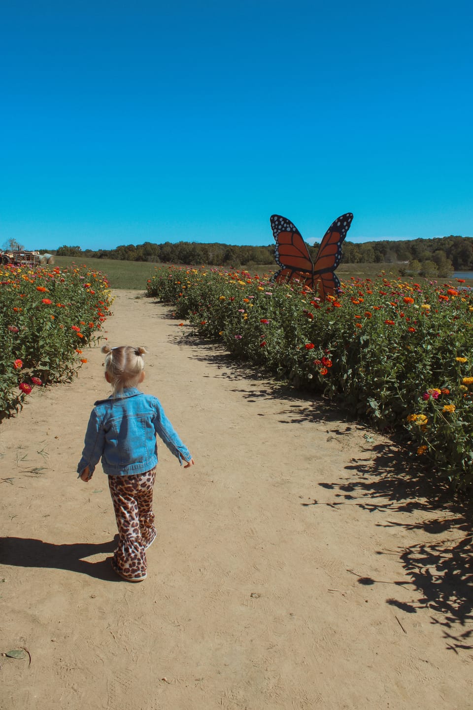 Customer photo review of Honeydust Film Preset Collection