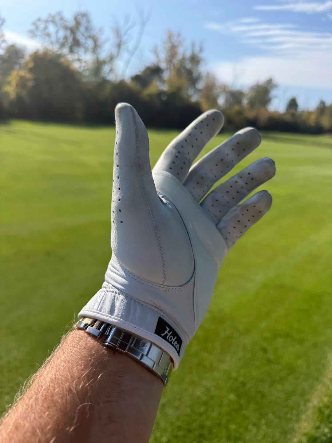 Customer photo review of Holen SureGrip Glove