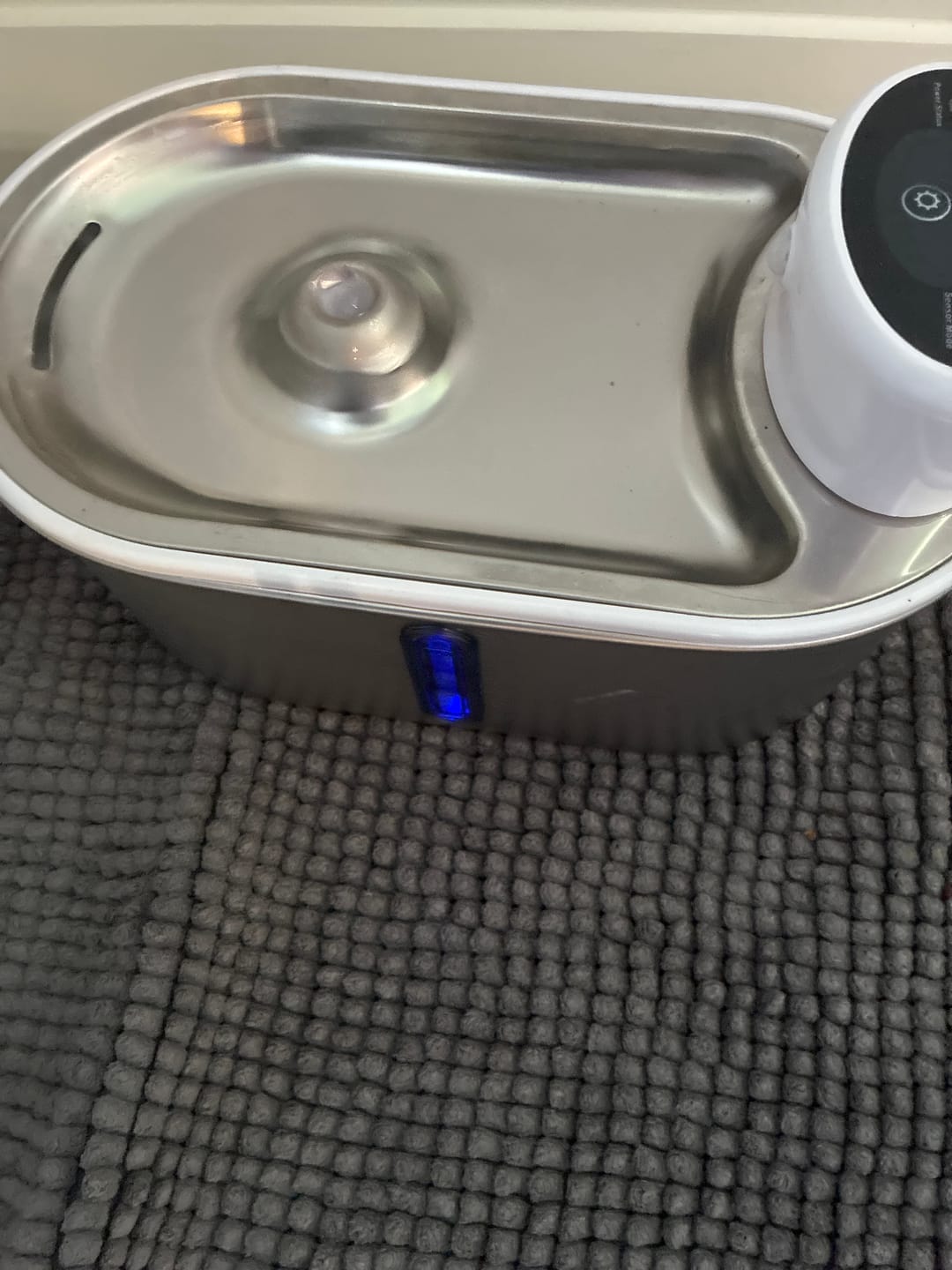 Customer photo review of Petbuds Flow Pet Drinking Fountain