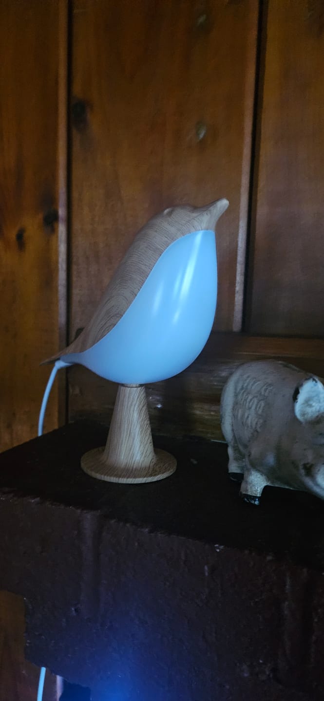Customer photo review of Glow Bird