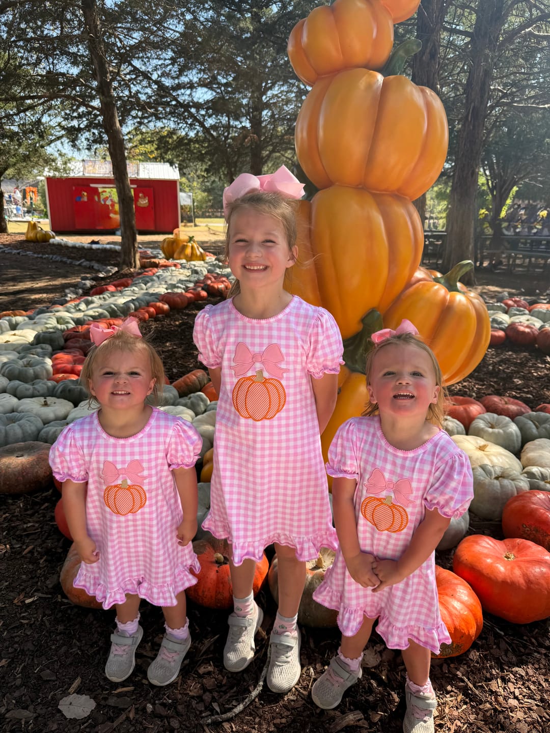 Customer photo review of Pumpkin & Bow Pink Gingham Milly Dress