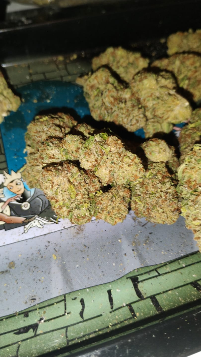 Customer photo review of Orange Dream THCA Flower