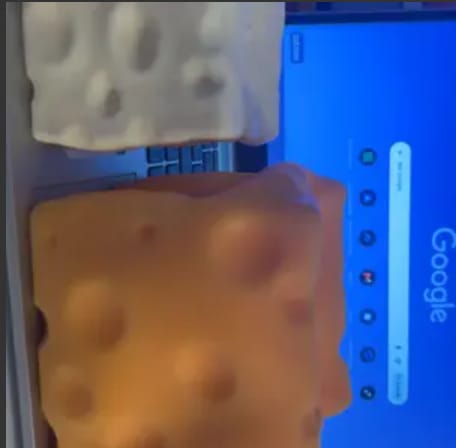 Customer photo review of Cheese Cube Squishy