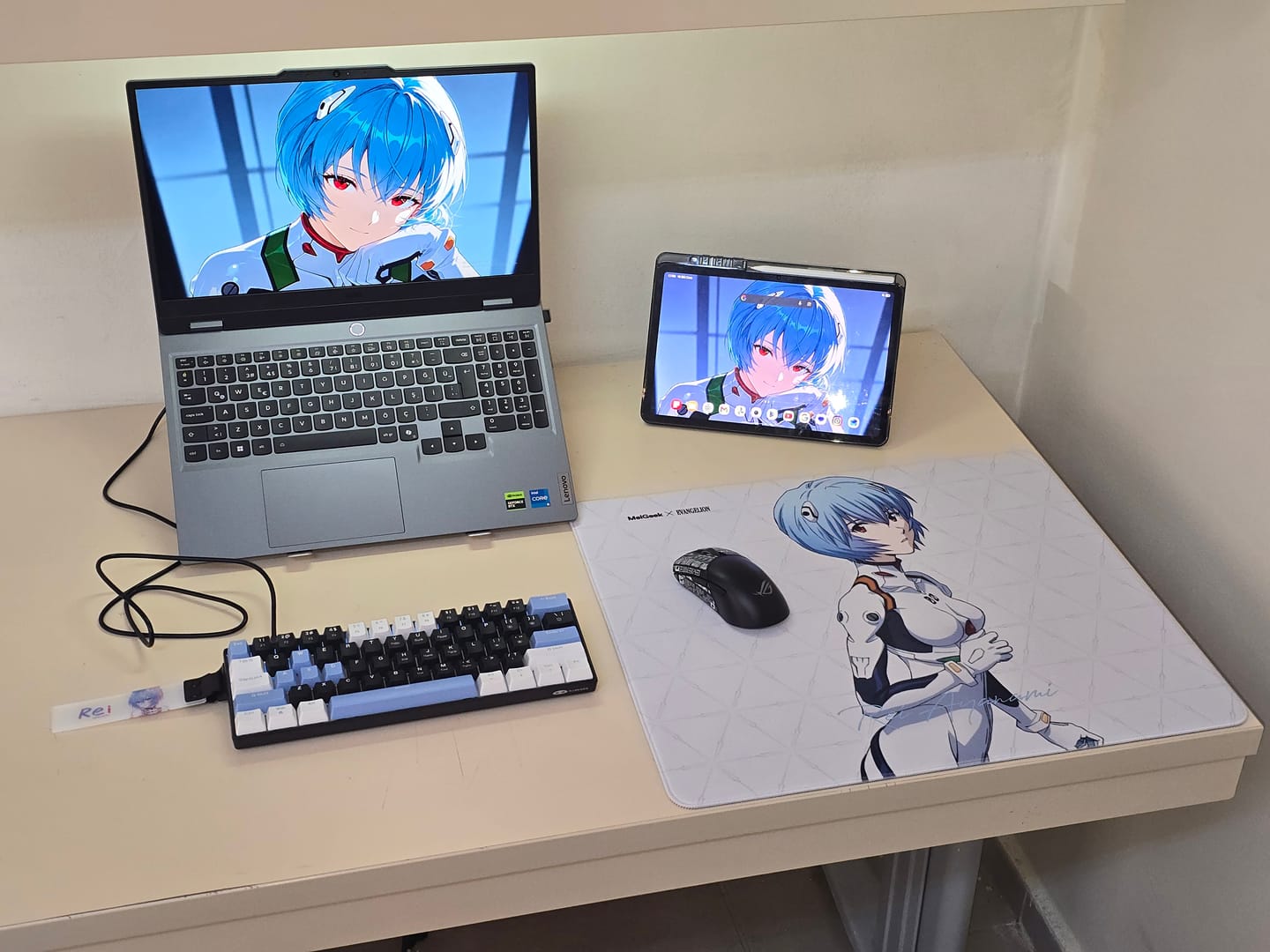 Customer photo review of MelGeek x Evangelion [Rei Edition] Mousepad