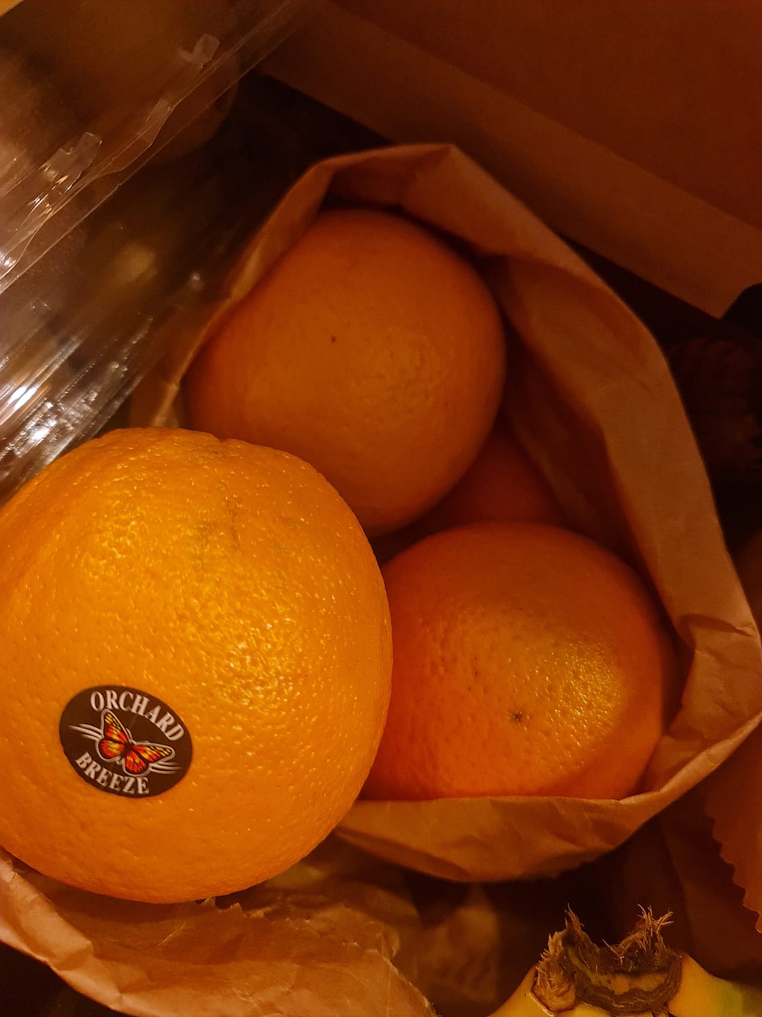 Customer photo review of Orange Navel Premium - 4pc
