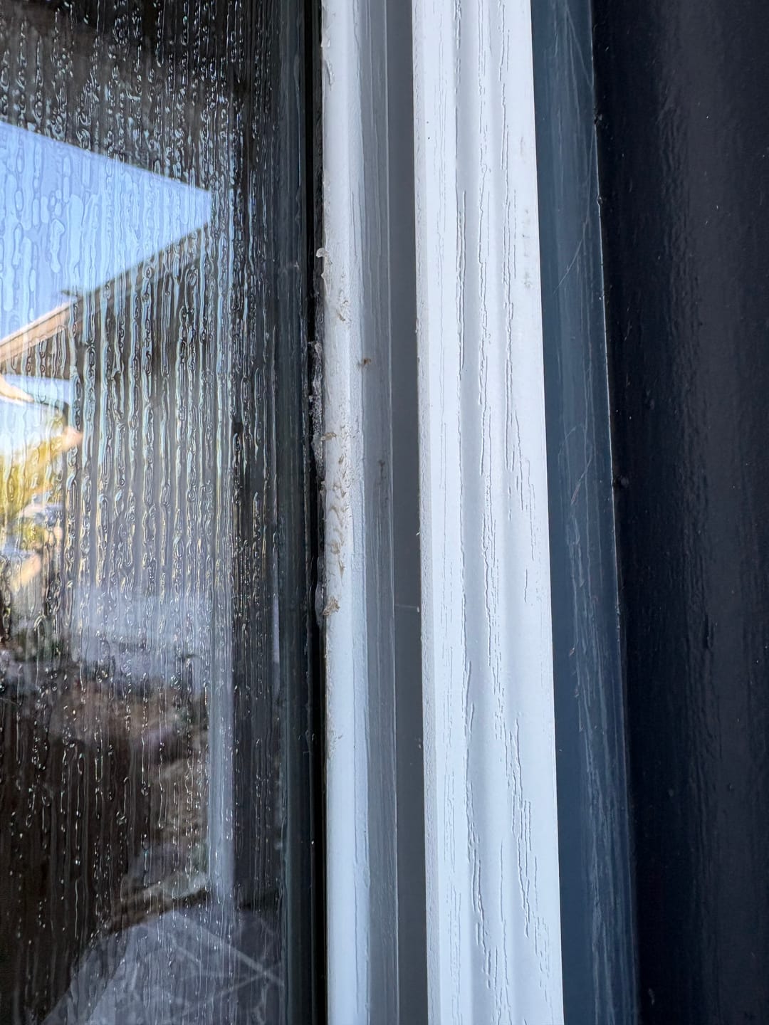 Customer photo review of Clear 1 Lite Glass and Frame Kit (Full Sidelite)