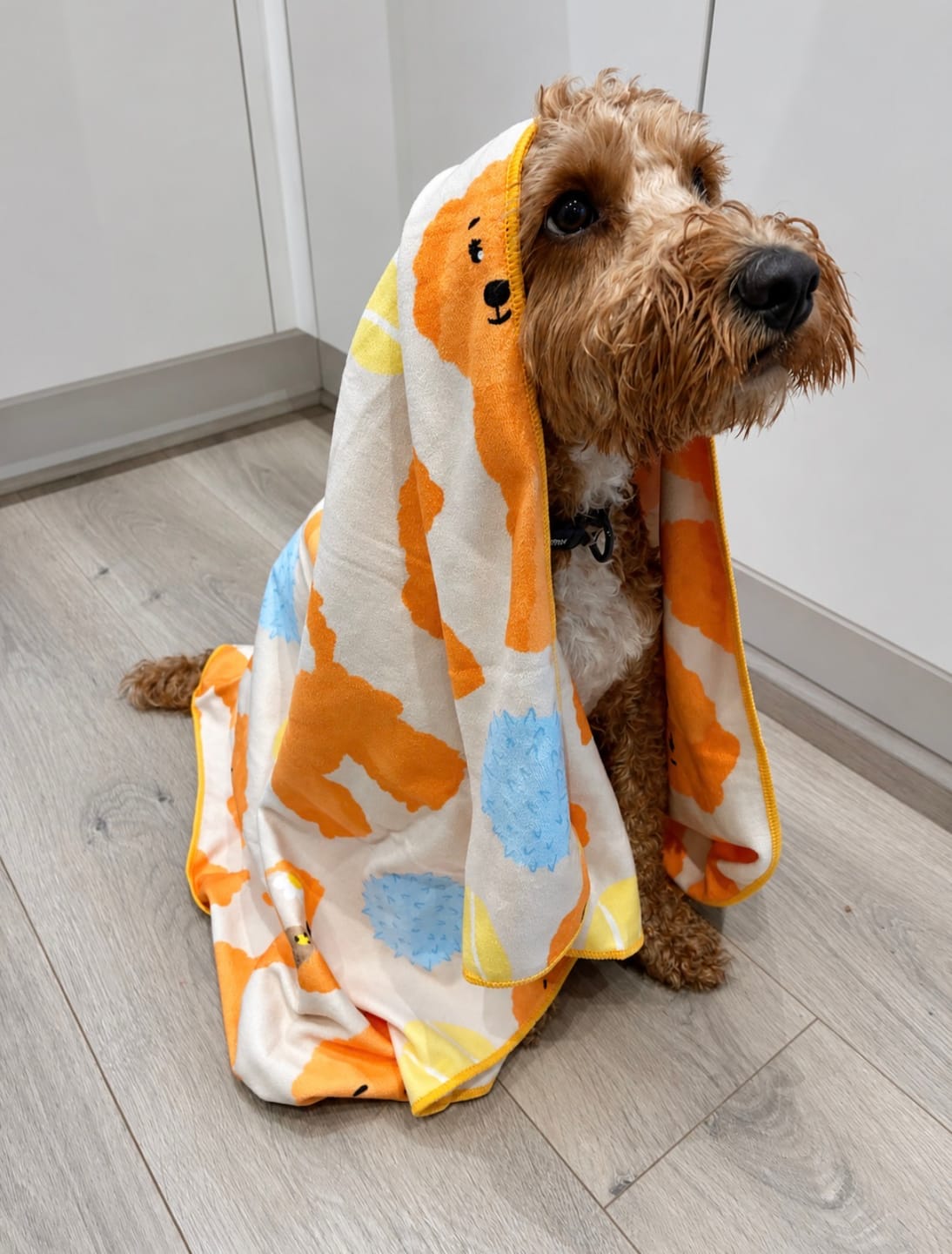 Customer photo review of Quick Drying Towel - Curly Club