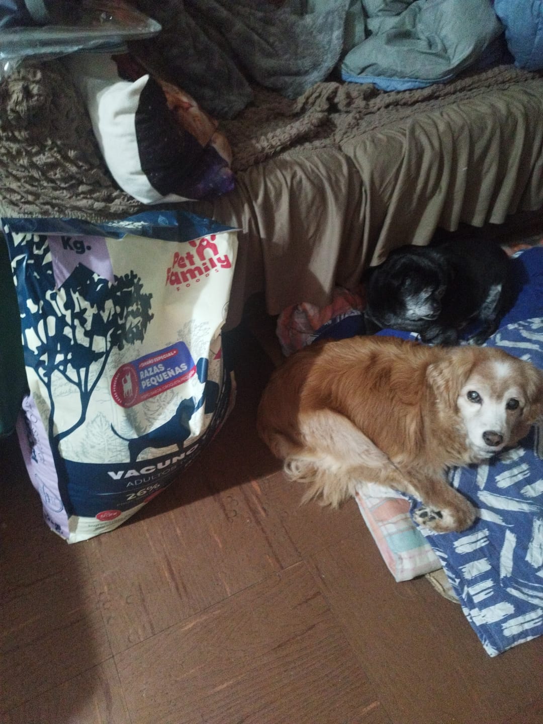 Customer photo review of PetFamily Foods Razas Pequeñas