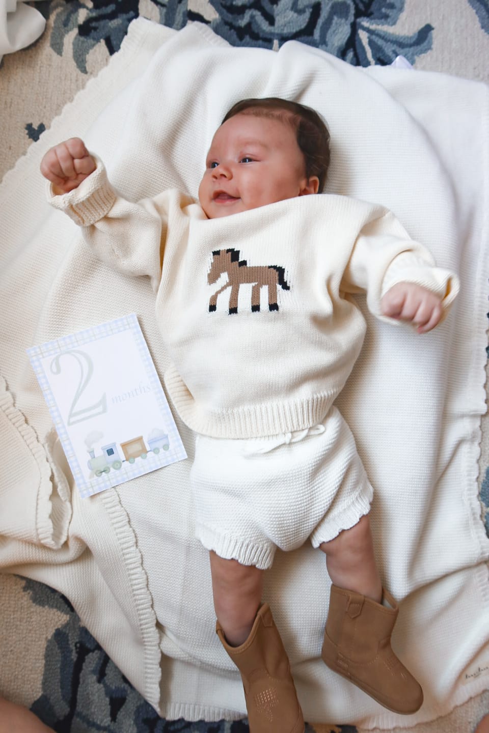 Customer photo review of Giddy Up Jacquard Sweater