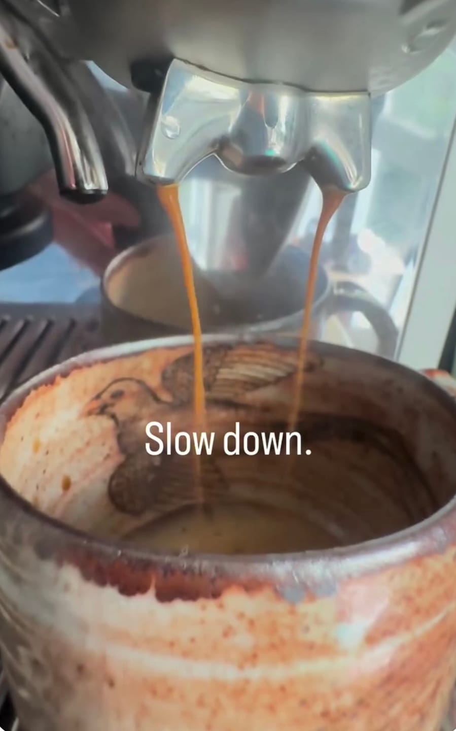 Customer photo review of Caldera Organic Decaf - Mountain Water Processed