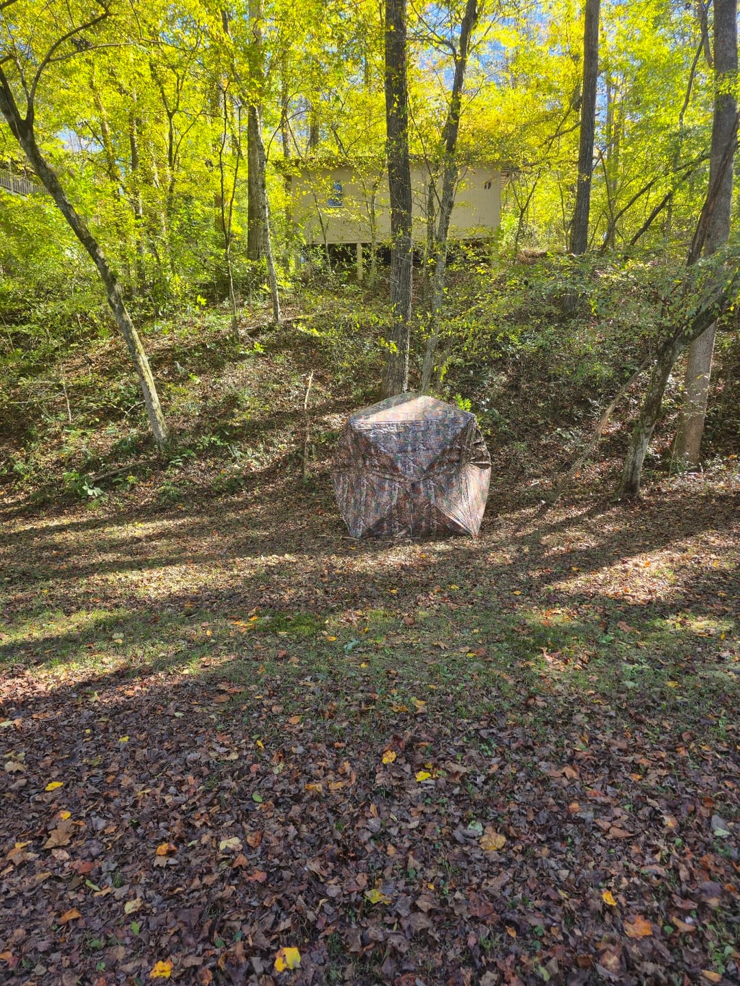Customer photo review of VisX/VisMax See Through Hunting Blind, Pop Up Ground Deer Blind