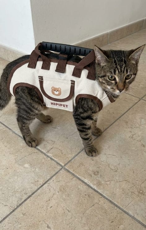 Customer photo review of Pawsy®Multifunctional Backpack with Strap™