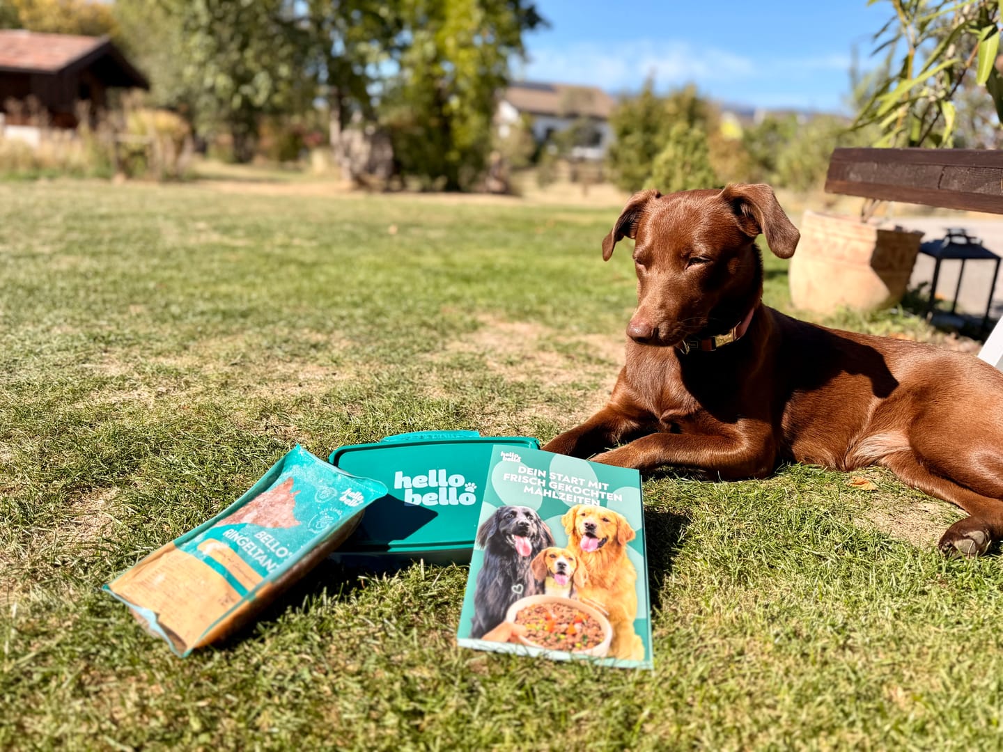 Customer photo review of Frischfutter für Energiebedarf von 624 kCal/Tag