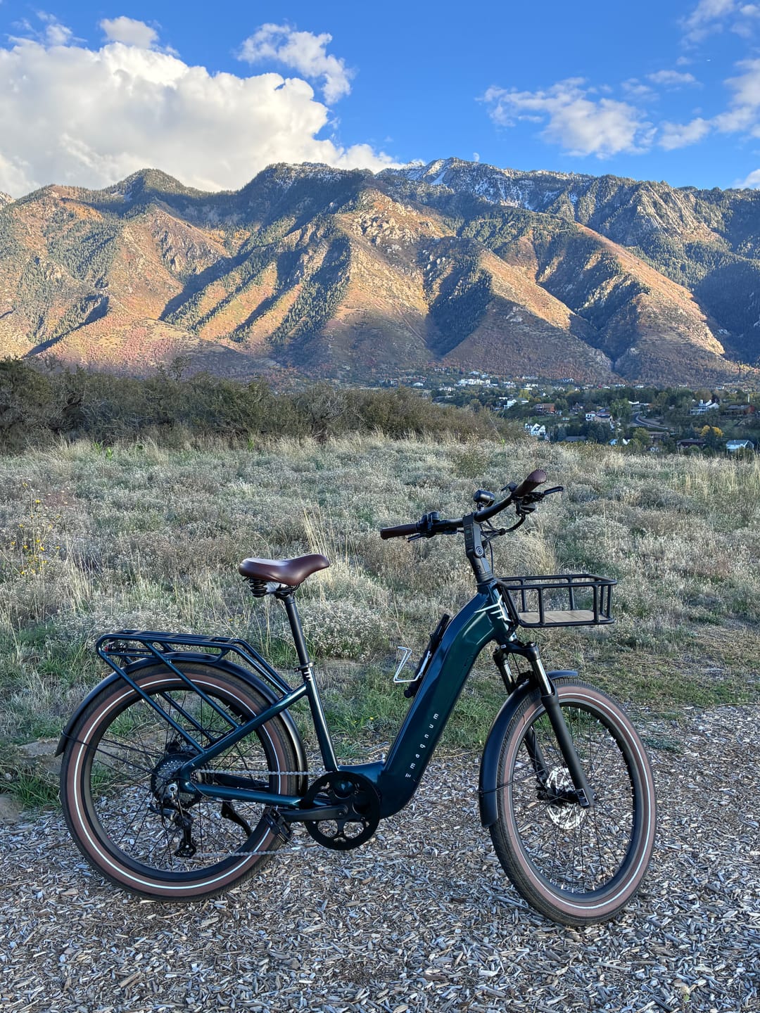 Customer photo review of Multi-Purpose Front Cargo Basket - Reward