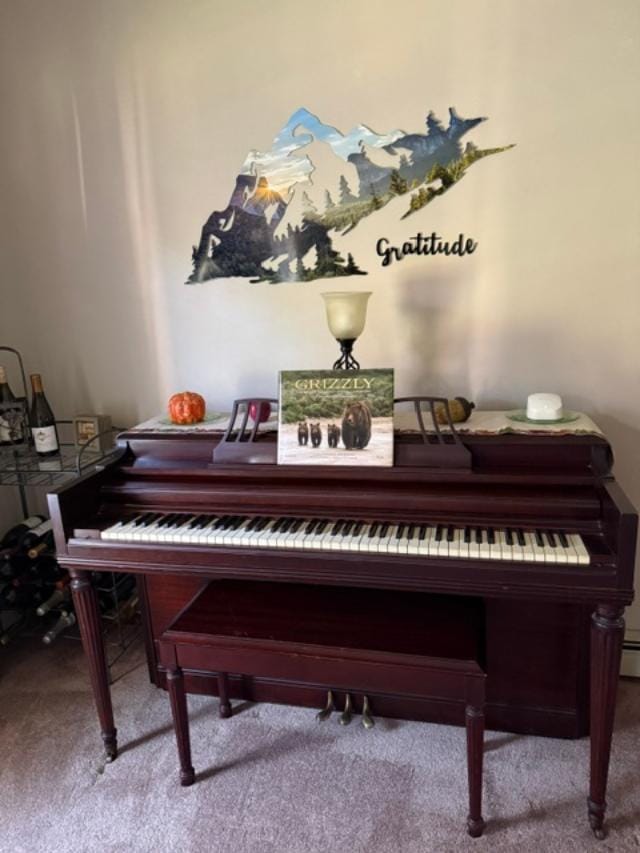 Customer photo review of Yosemite Mountain Range View Metal Wall Art – National Park Wall Decor