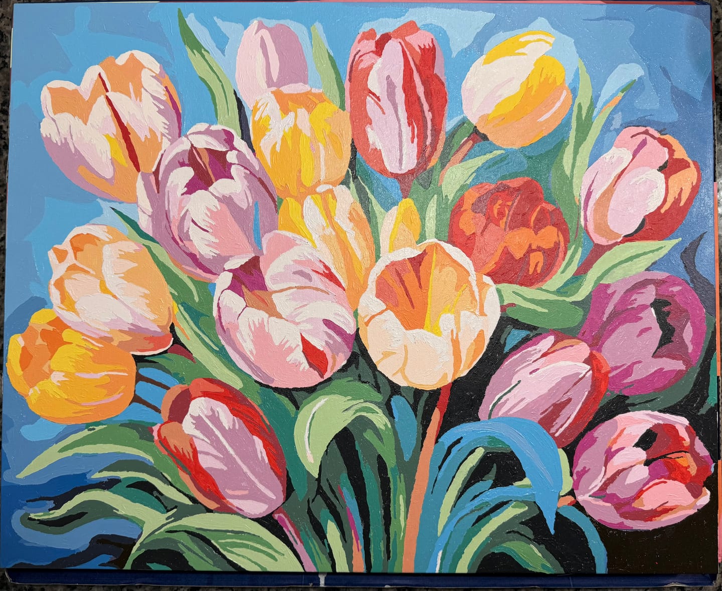 Customer photo review of Vibrant Tulip Medley