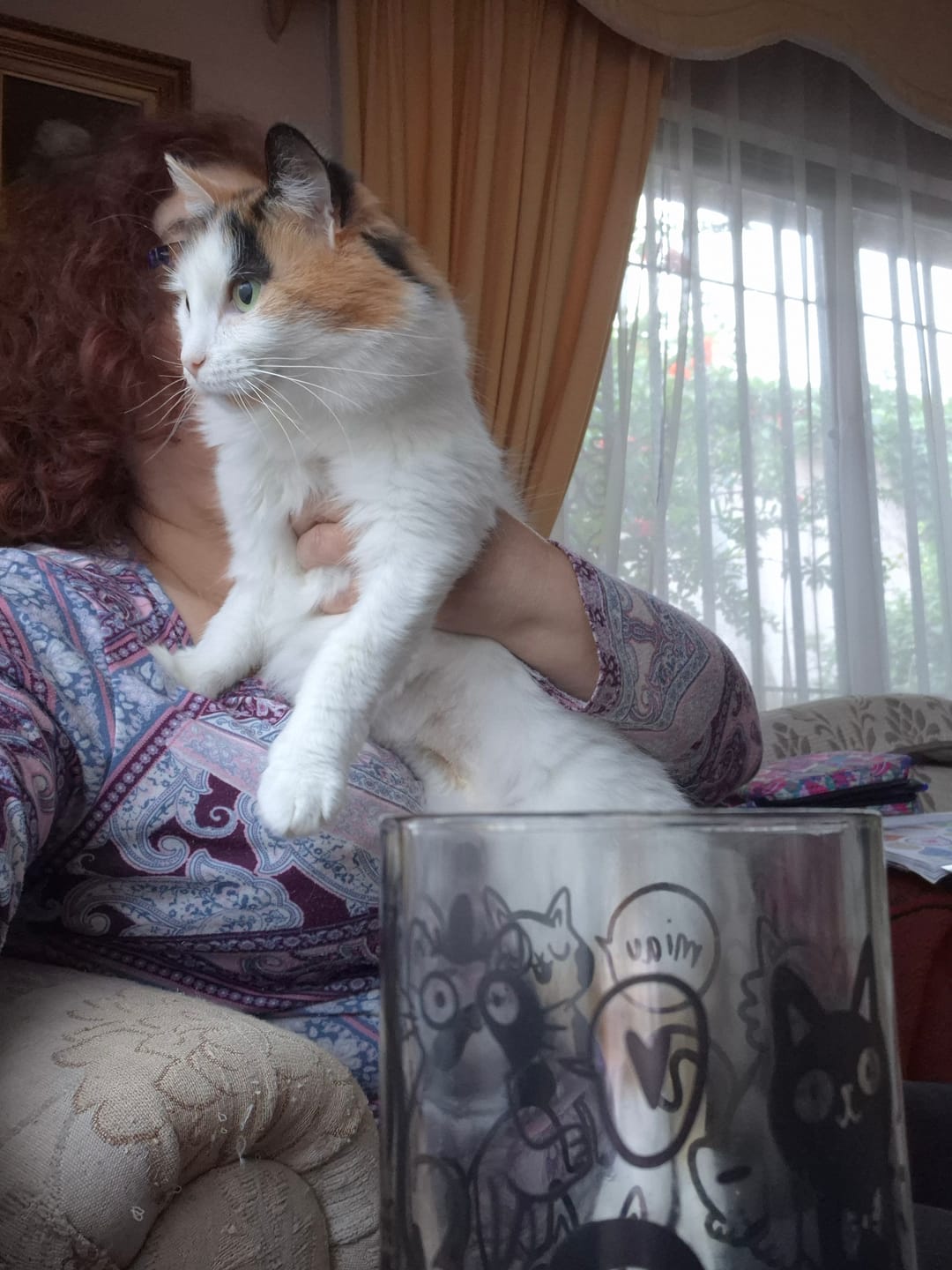 Customer photo review of Miau Glass - Juego de 6 Vasos - 500 ml