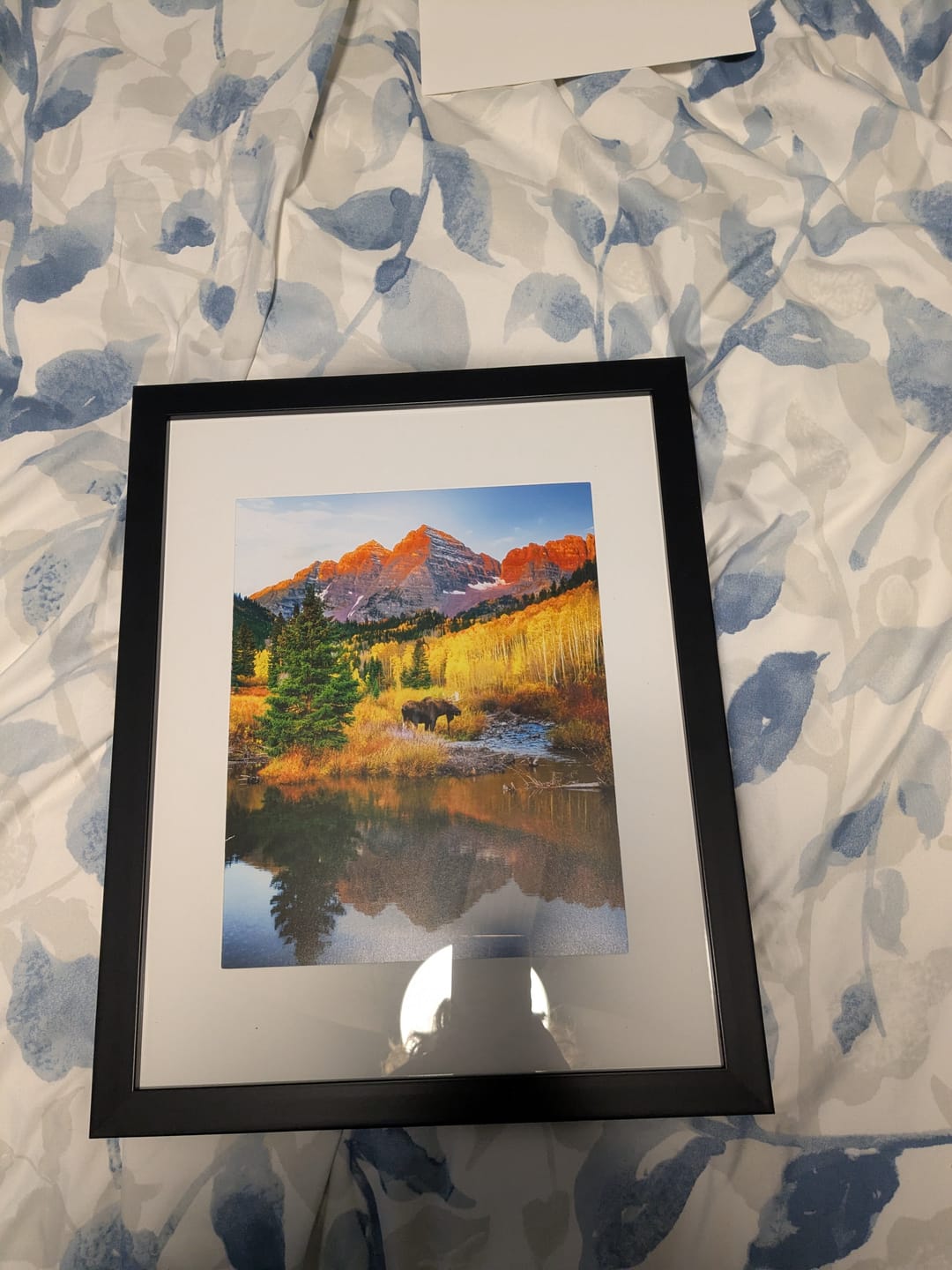 Customer photo review of Echoes of Autumn - 8x10