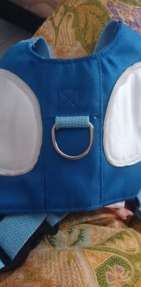 Customer photo review of Baby Walking Harness – No More Back Pain