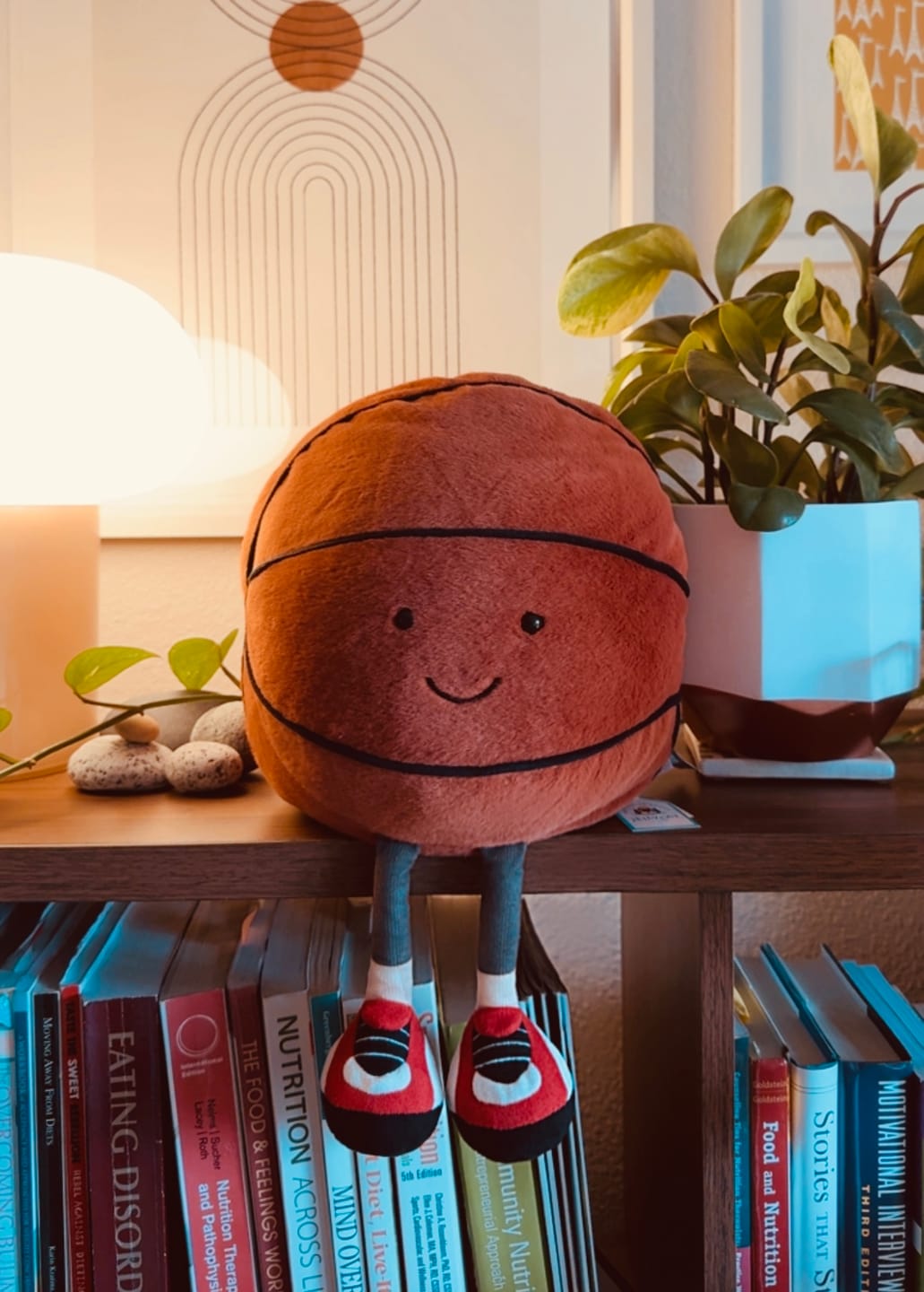 Customer photo review of Amuseables Sports Basketball