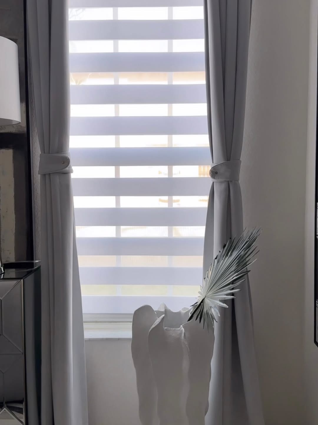 Customer photo review of Dual Layer Zebra Shades