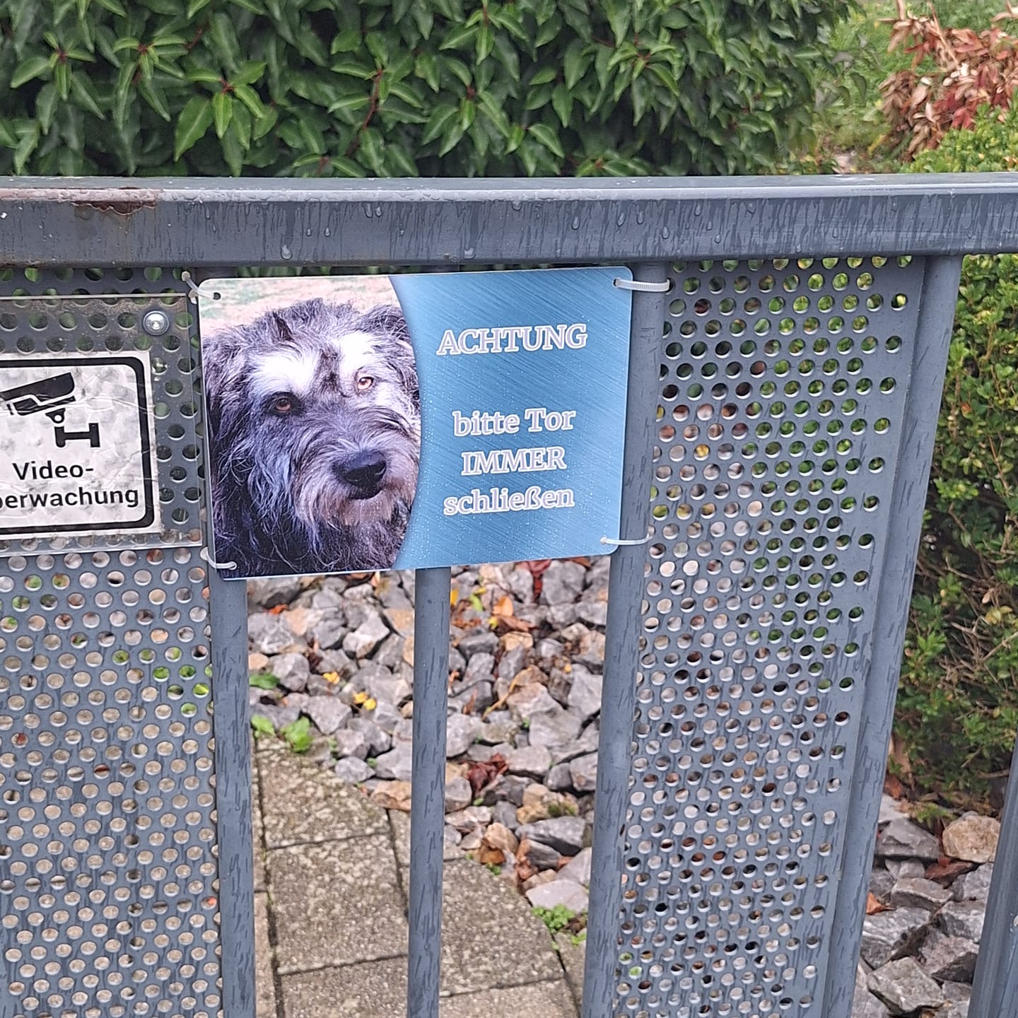 Customer photo review of Hunde-Türschild mit Foto & Wunschtext (UV- UND WETTERFEST) - Angebot beim Kauf eines 2. Schildes