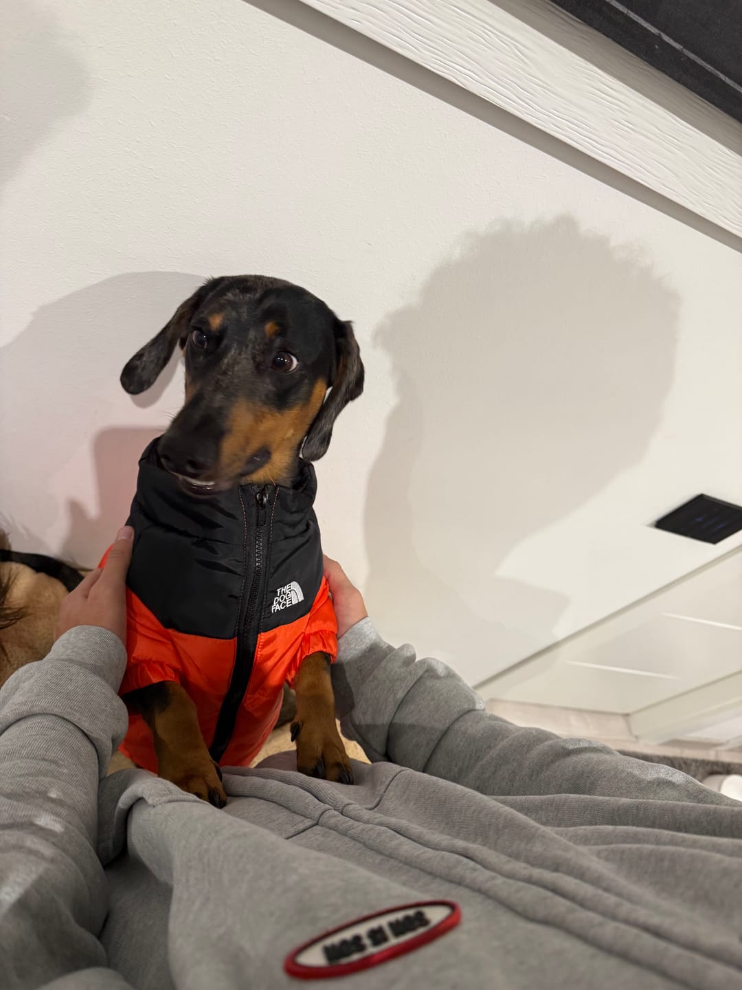 Customer photo review of The Dog Face Piumino