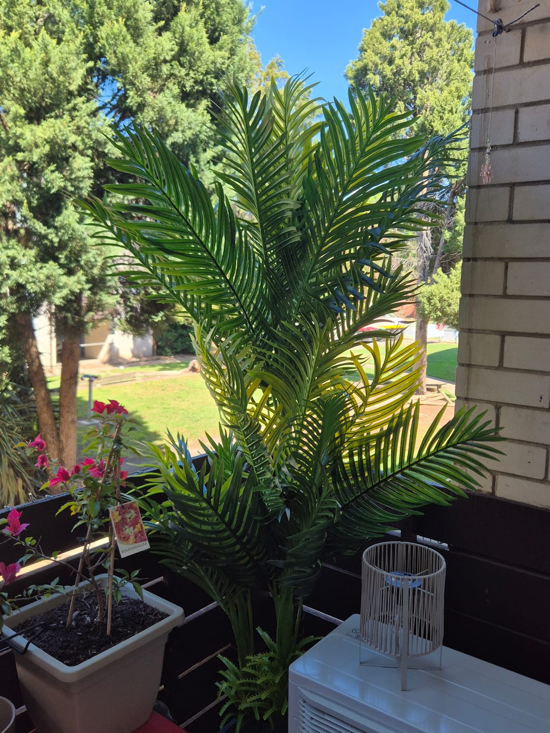 Customer photo review of Artificial Hawaii Palm with Multiple Trunk & Long Leaves 180cm