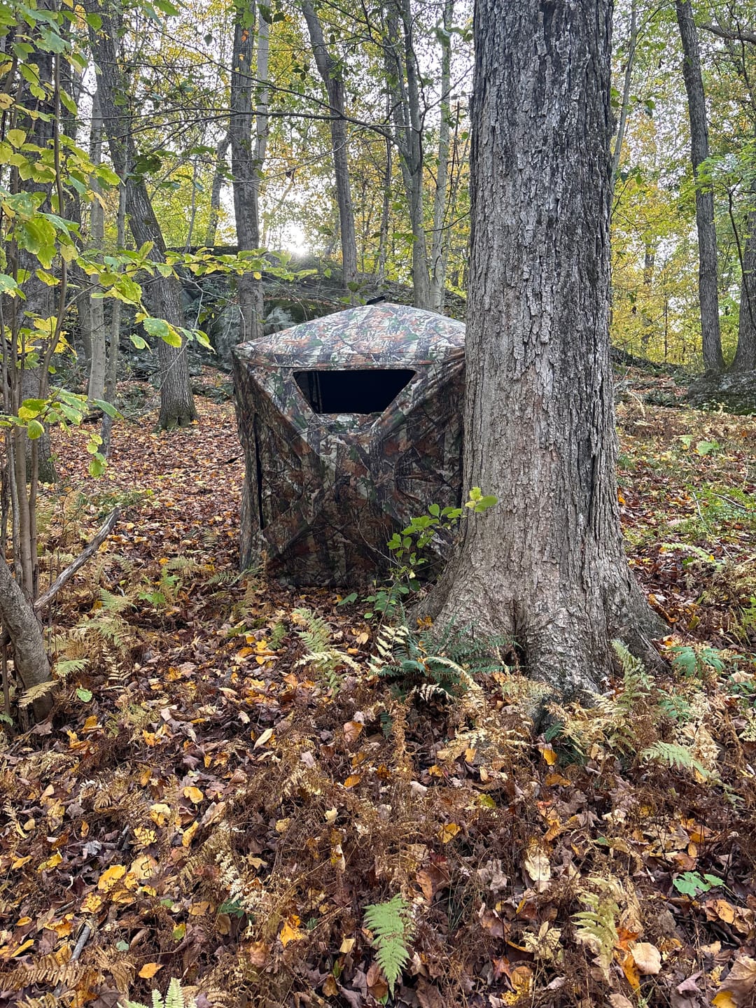 Customer photo review of VisST 270° See Through Ground Blinds | Pop Up Portable Blinds for 2 3 Person Deer Hunting with Silent Magnetic Door