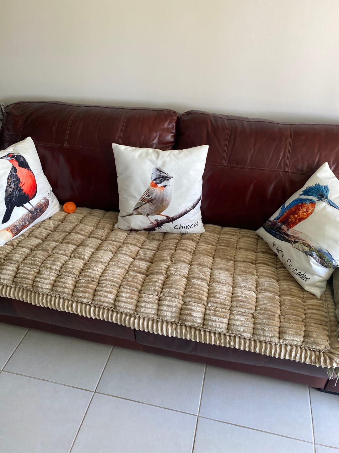 Customer photo review of Majestuoso · Protector Premium para Sofá