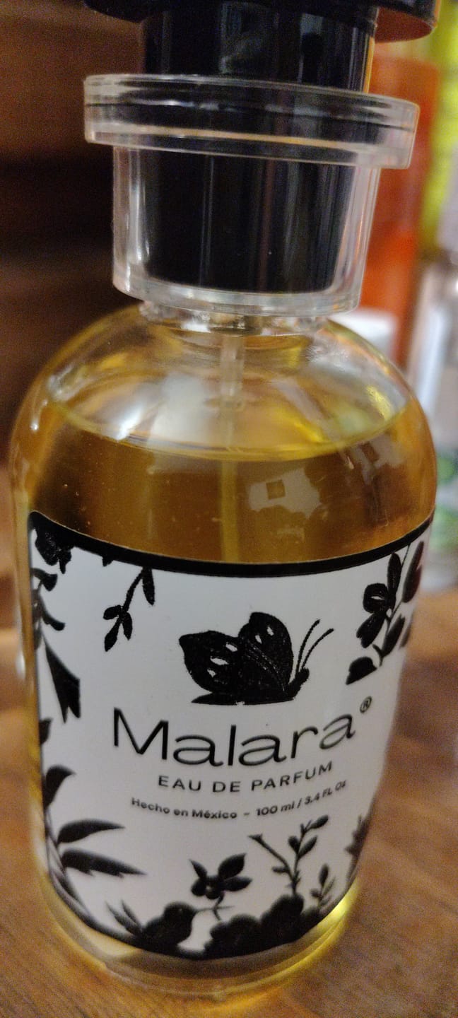 Customer photo review of Lemon Halo — Inspirado en Devotion de Dolce & Gabbana