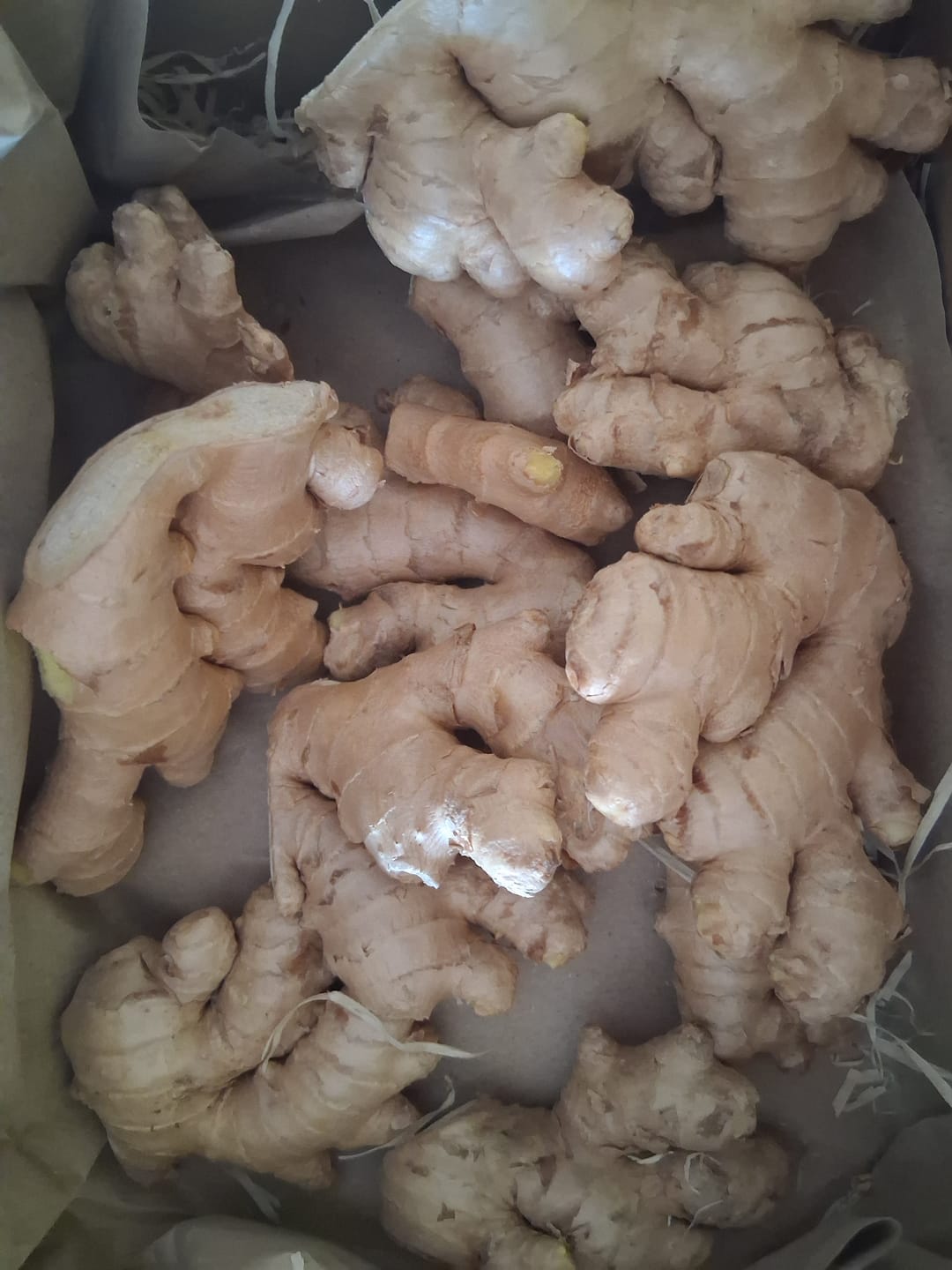 Customer photo review of Ingwer Bio aus Peru (mit Schale verwertbar) Aktionspreis %