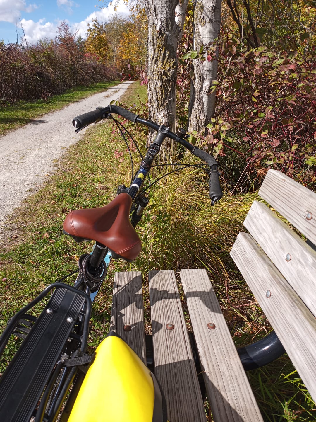 Customer photo review of Blue Lug/Nitto B356 M's Bar Handlebar