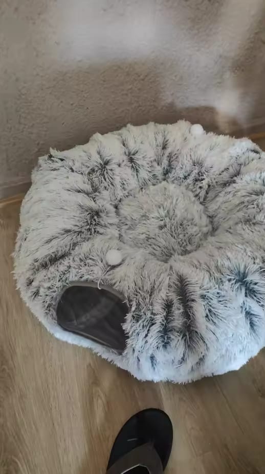Customer photo review of Cozy Cat Tunnel & Bed