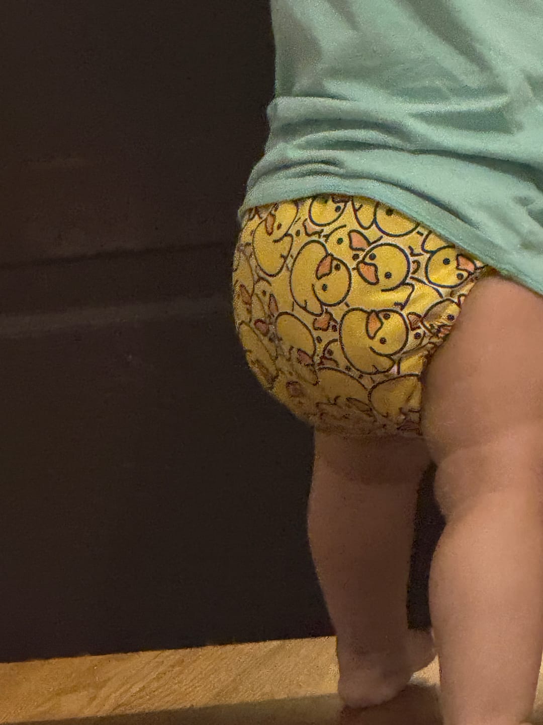 Customer photo review of The Ultimate - Hook & Loop One Size Pocket Reusable Cloth Diaper