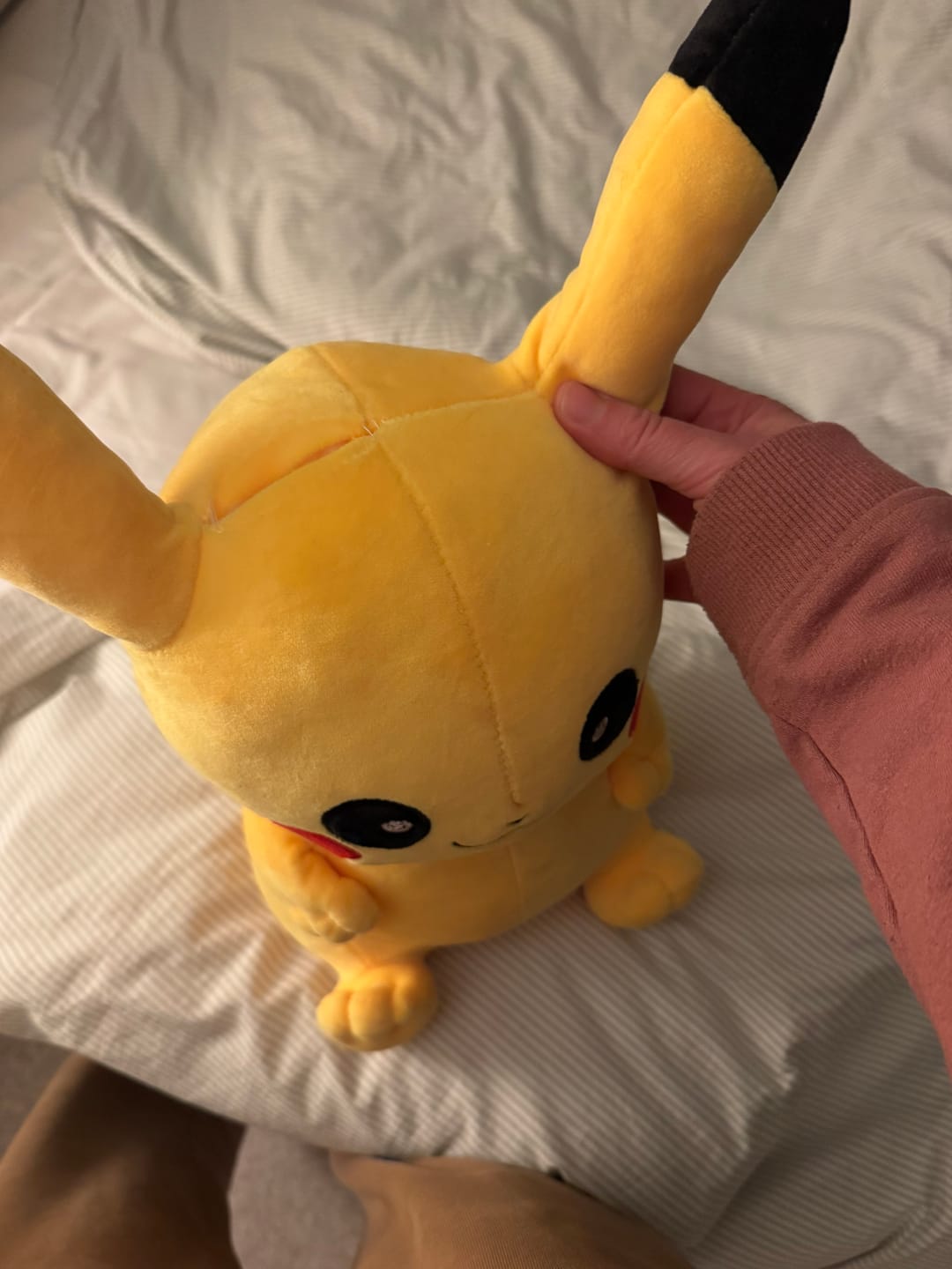 Customer photo review of Giant Pikachu Pokemon Plush