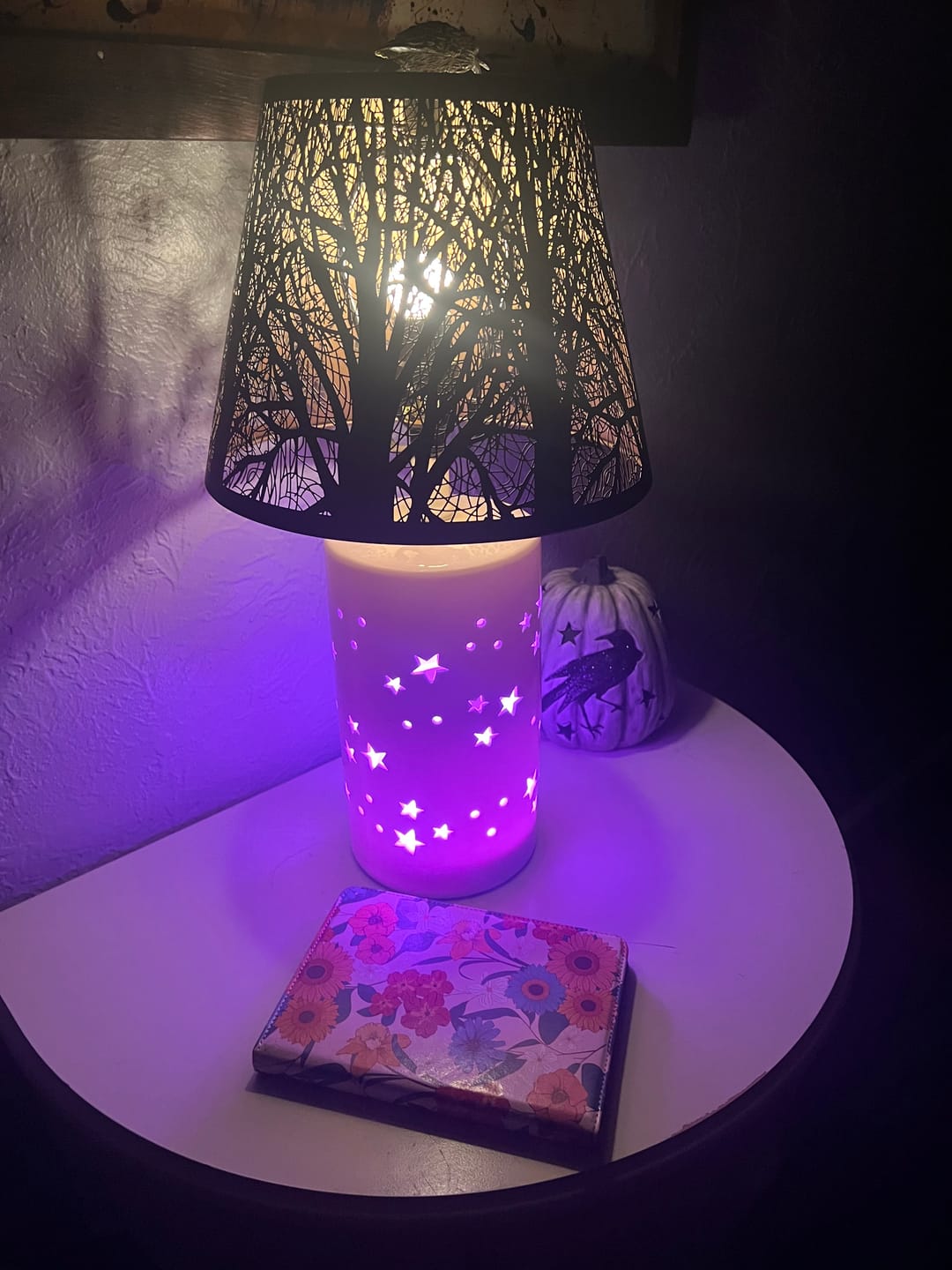 Customer photo review of Friendship Lamp