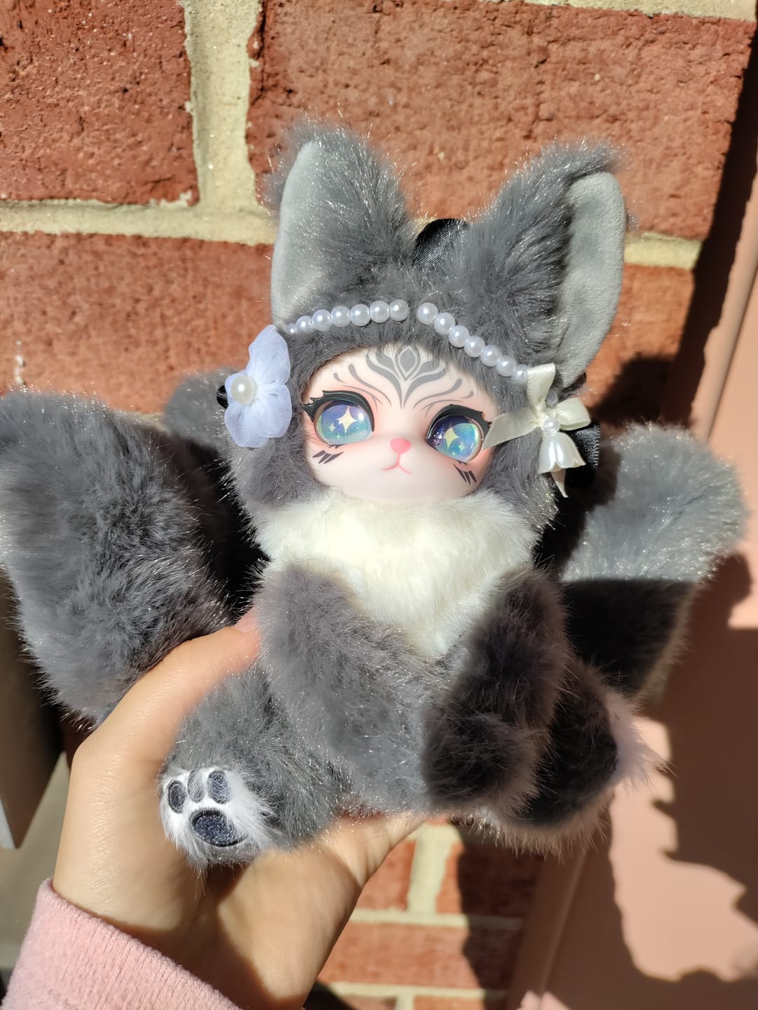 Customer photo review of Fuyou Jiuyou Lu Mini Xiaojiu Series Plush Blind Box