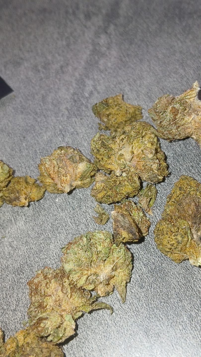 Customer photo review of Bulk Indoor THCA Smalls