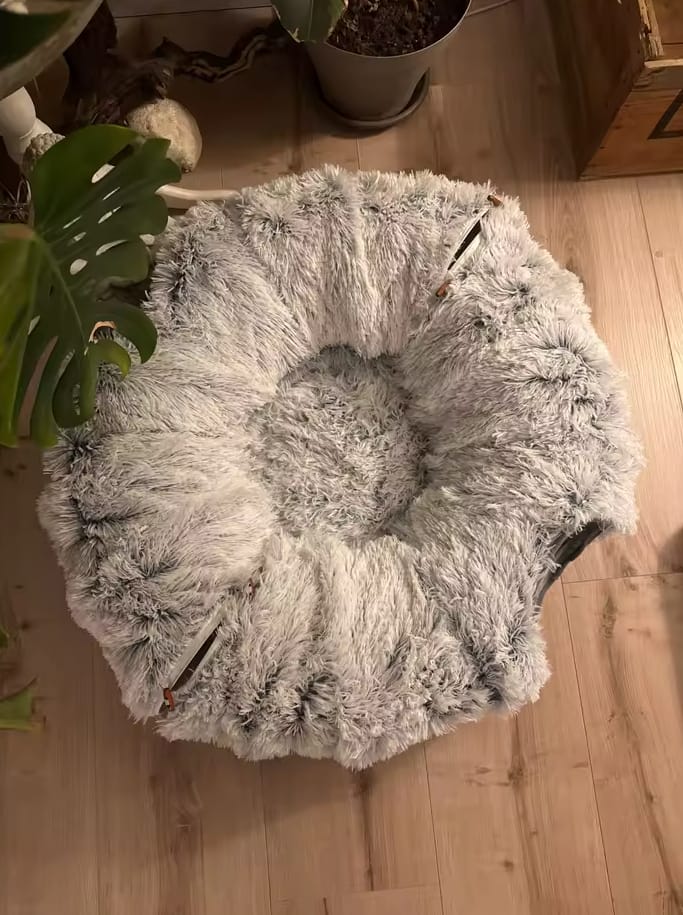 Customer photo review of Cozy Cat Tunnel & Bed
