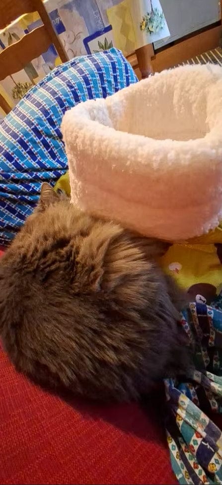 Customer photo review of Saco de dormir afelpado para gatos