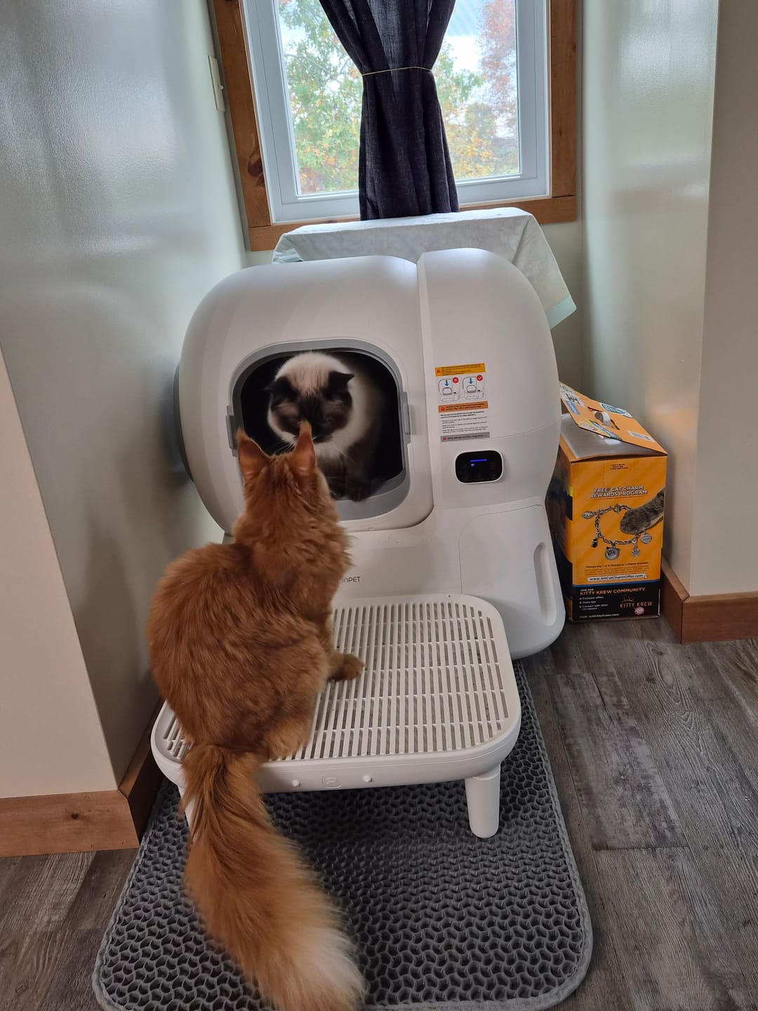 Customer photo review of Cat Litter Box CS106 All-in-One Starter Bundle