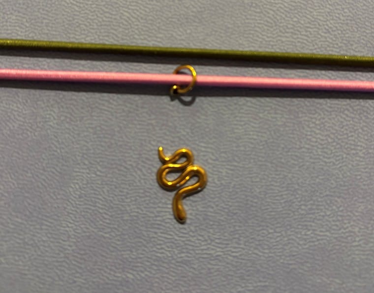 Customer photo review of Folio Charm - SNAKE