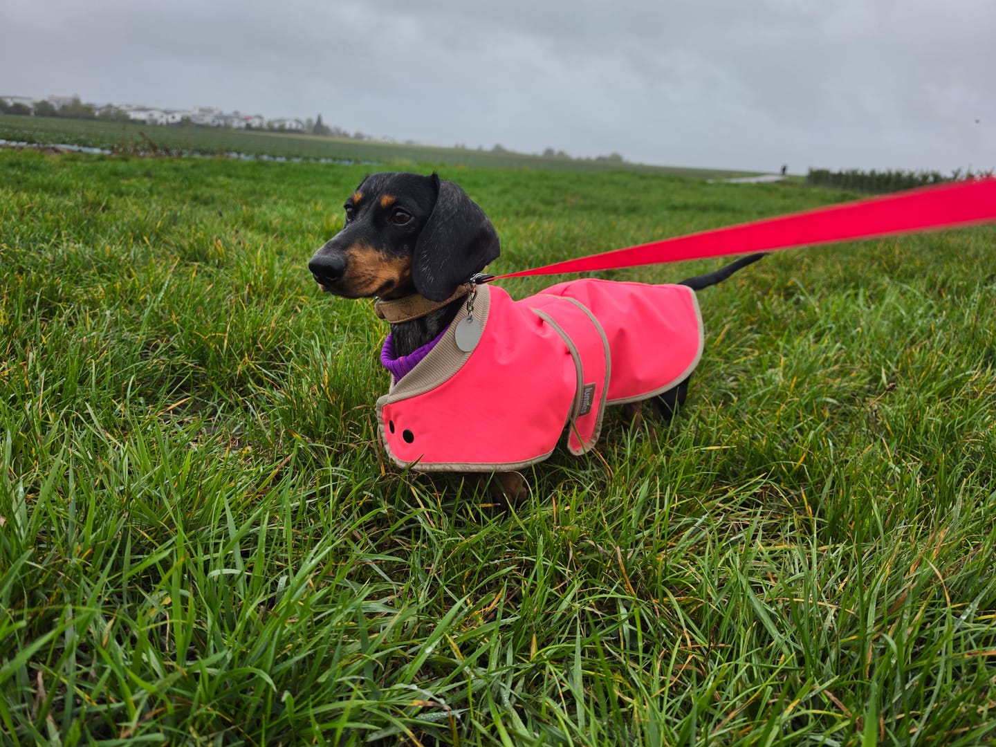 Customer photo review of Glow Raincoat Mini Fit Regenmantel