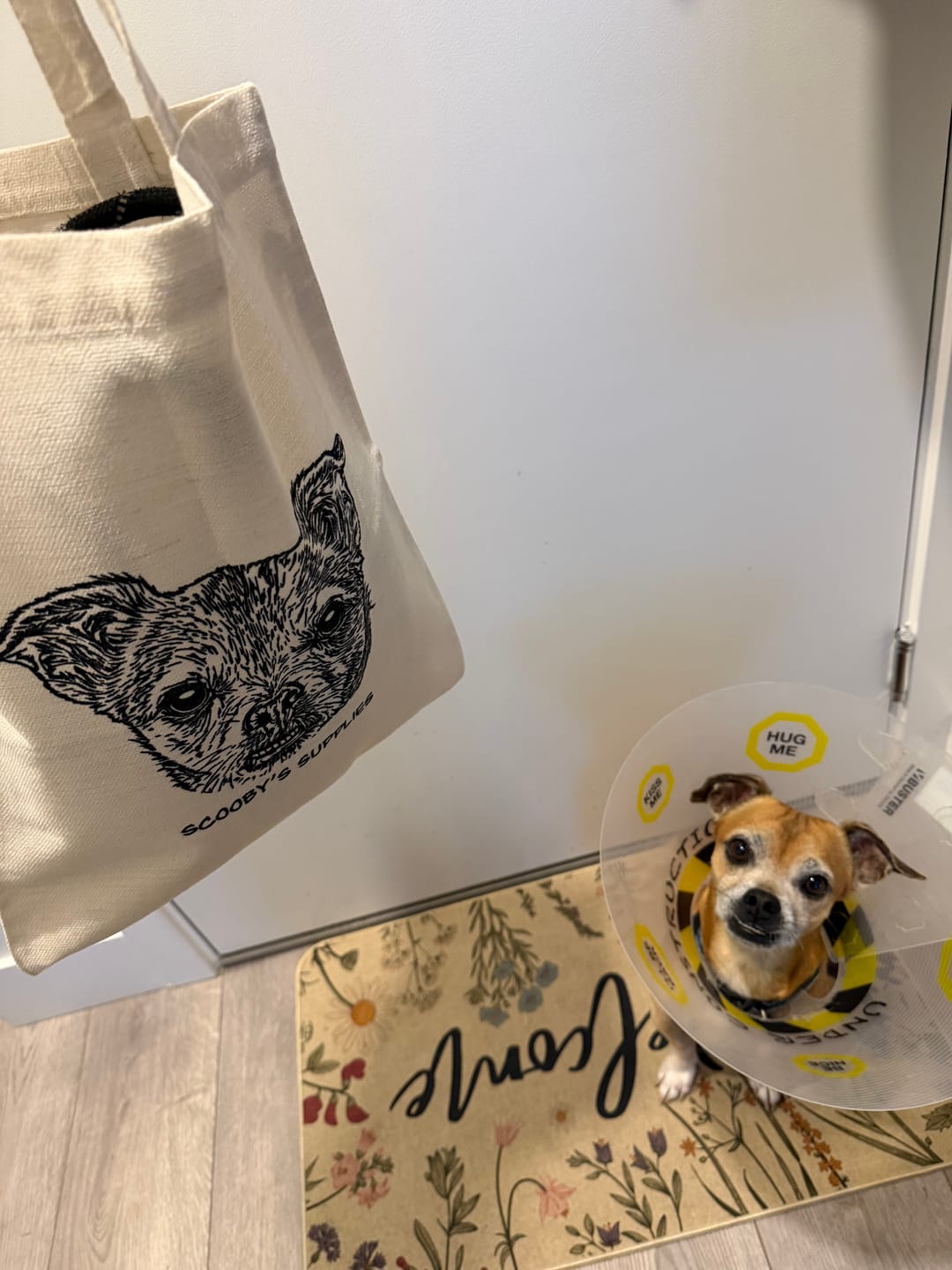 Customer photo review of Custom Pet Tote Bag