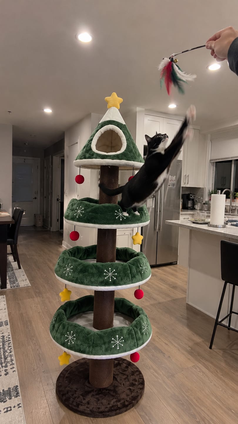 Customer photo review of Christmas Tree For Your Cat