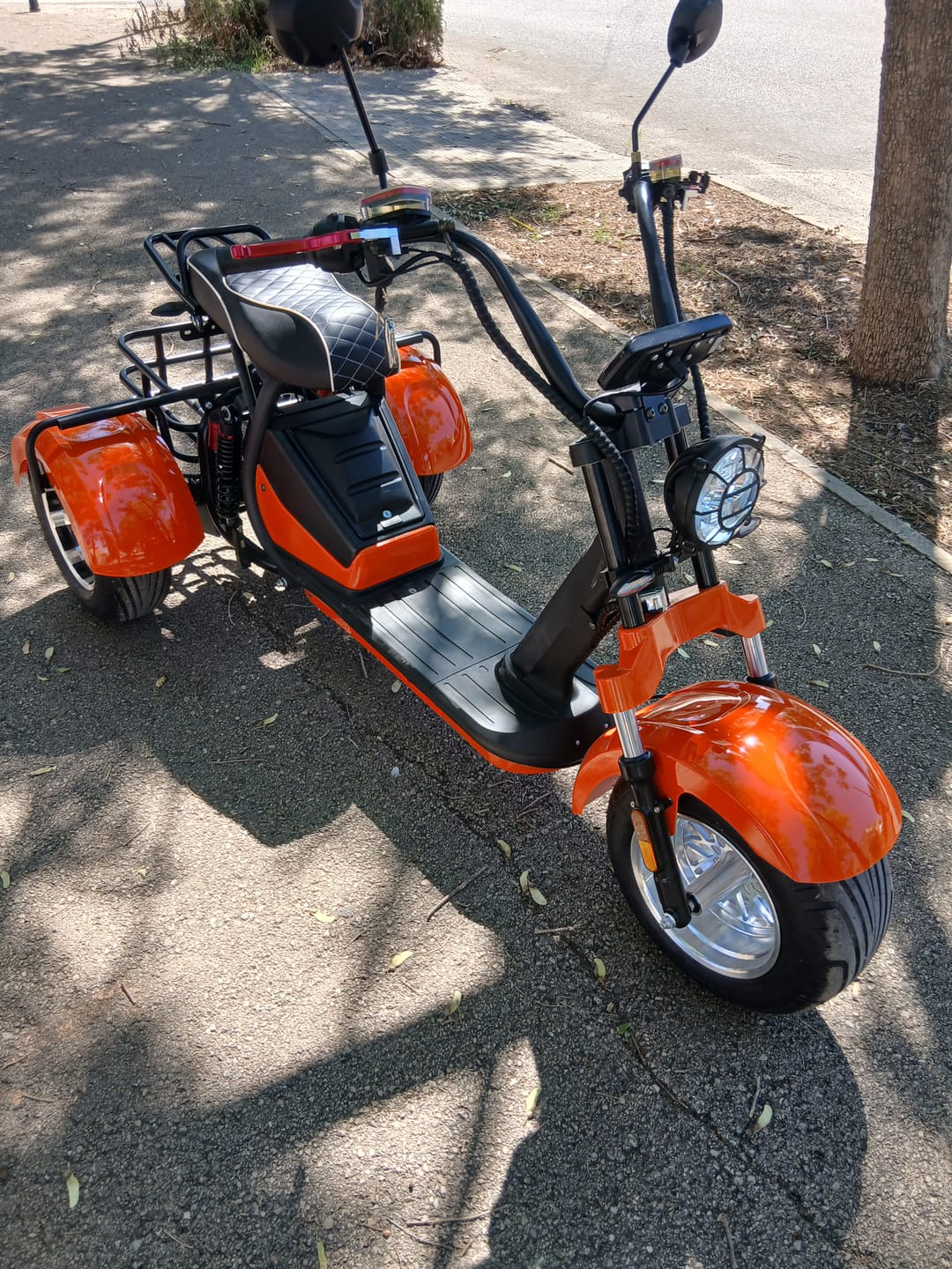 Customer photo review of Dossier passager pour Citycoco