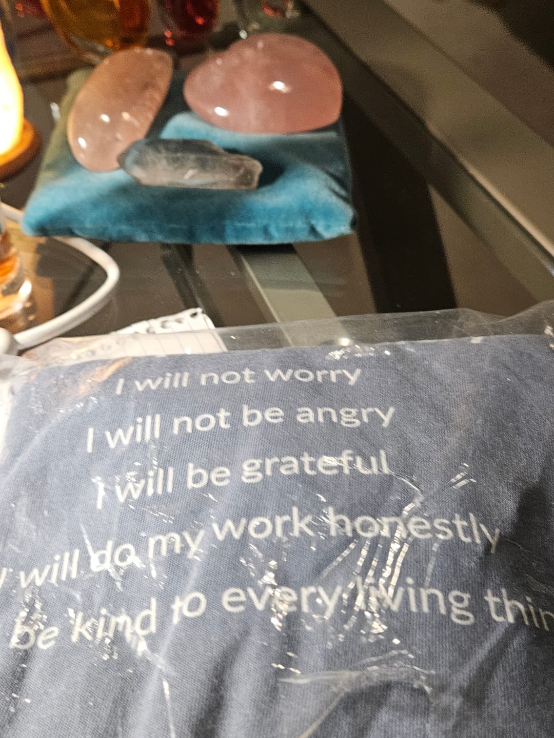 Customer photo review of Just For Today I Will Comfort Tee