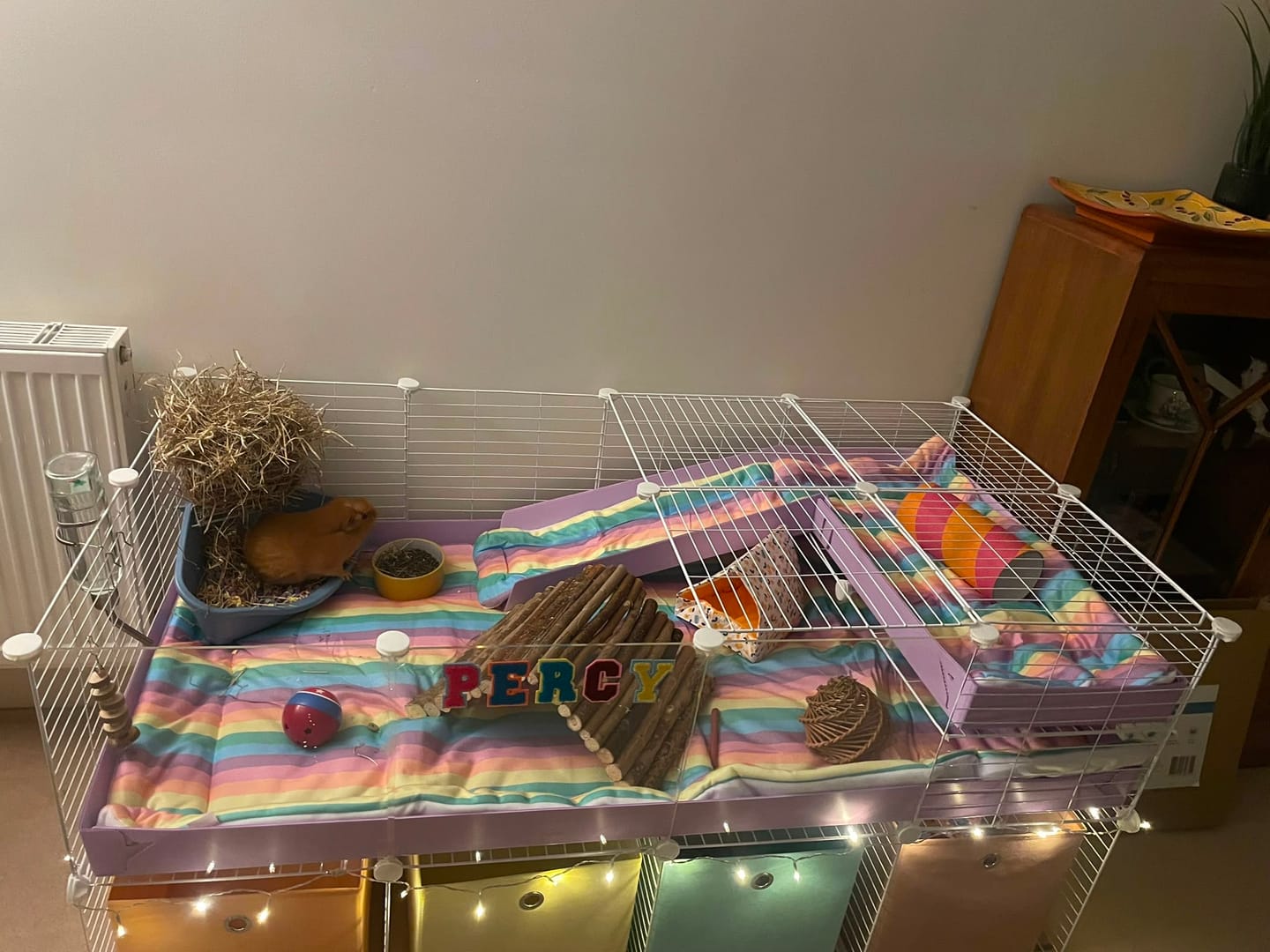 Customer photo review of The Kavee C&C Habitat - 4x2